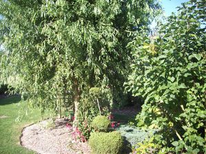 VISITE JARDIN DE LORIOT YANNICK (1)