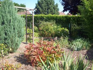 VISITE JARDIN LORIOT YANNICK