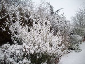 hiver 15 fevr 2010 001