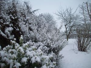 hiver 15 fevr 2010 003
