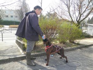 entrainement AB Caluire Recherche utilitaire mars 2014 P3131172