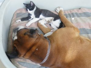 tango-et-gus-026.jpg