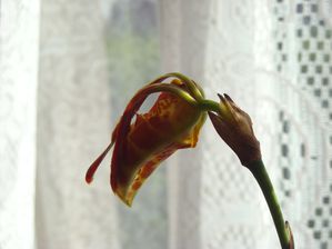 DSCN3293.JPG