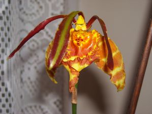 DSCN3301.JPG