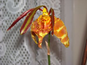DSCN3303.JPG