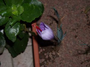 DSCN3354.JPG