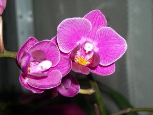 DSCN4169.JPG