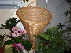 DSCN4585.JPG