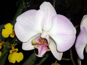 DSCN4786.JPG