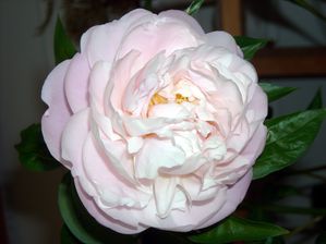DSCN4863.JPG