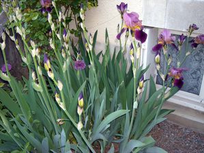 DSCN4901.JPG