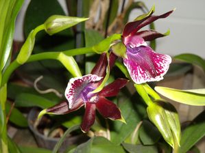 DSCN4937.JPG