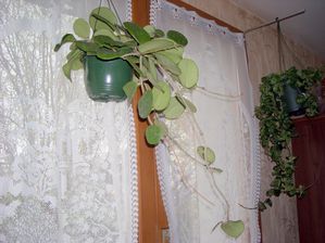 DSCN4701.JPG