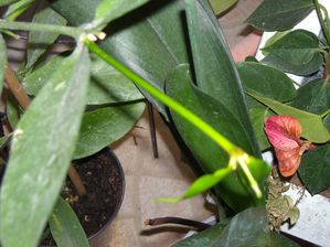 DSCN4979.JPG