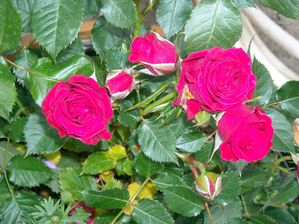 DSCN5048.JPG