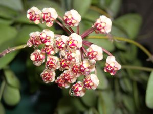 DSCN5412.JPG