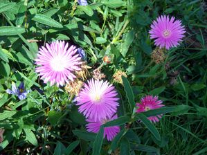 DSCN5848.JPG