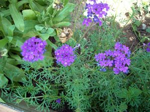 DSCN5851.JPG