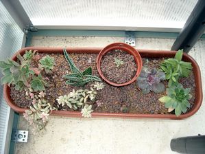 DSCN5920.JPG