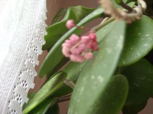 DSCN6354.JPG