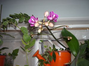 DSCN7038.JPG