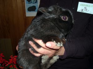 DSCN8124.JPG