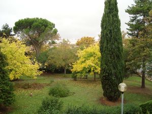 automne-nobembre-2009-001.jpg