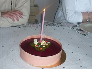 gateau-anniversaire-gaby2