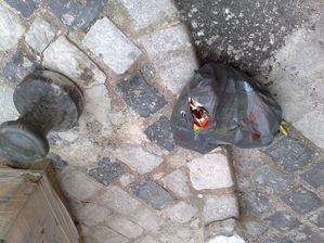 08032010582.jpg