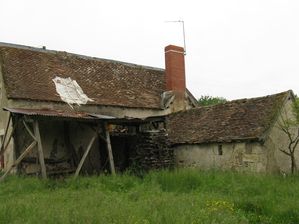 jardin-7910.JPG