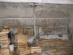 futur-gite-7925.JPG
