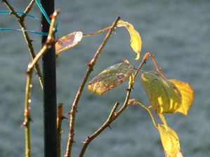 DEC08-009.jpg