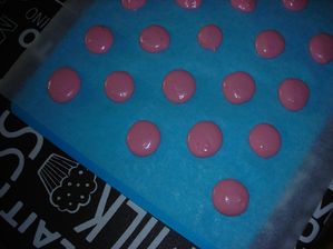DSCN3114.JPG