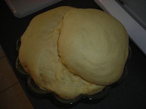 DSCN3153.JPG