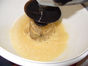 S1050167.JPG