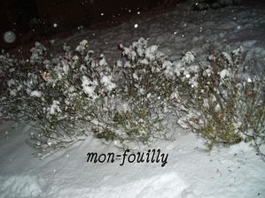 Photo-1270550912ffffffffff.jpg