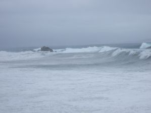 DSCF0743