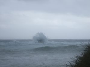 DSCF0749