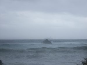 DSCF0750
