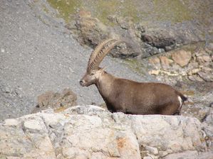 P9220069-copie.jpg