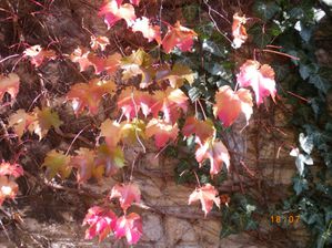 IMGP3819.JPG