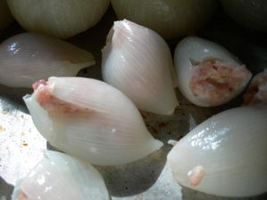 DSCN7325.JPG