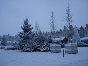 DSC01550.JPG