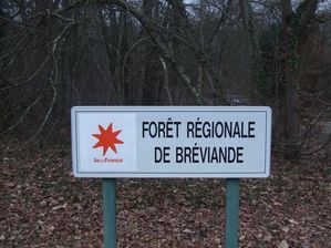 forêt de Bréviande