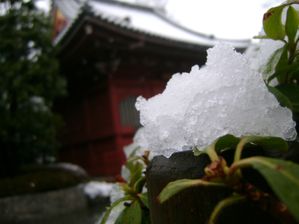 neige tokyo 17
