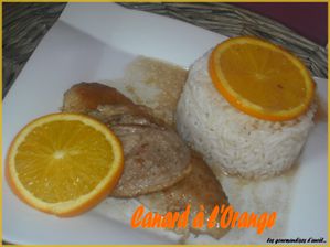 canard-a-l-orange.jpg