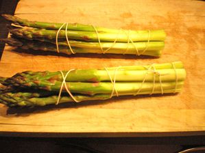 100_0806-copie-12.JPG