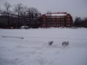 Square sous la neige