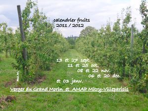 Calendrier-FRUITS-2011.JPG