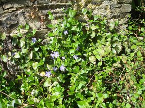 DSC03366.JPG